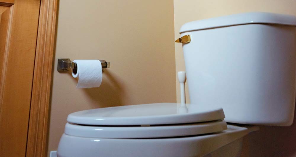 An image of  a toilet seat covers for Ultimate Toilet Experience