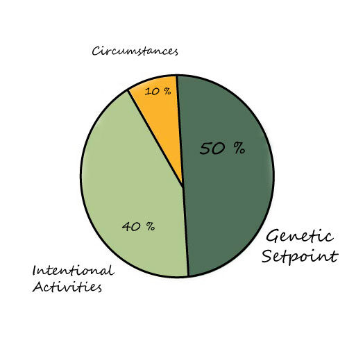 biological, a image of pie chart happiness