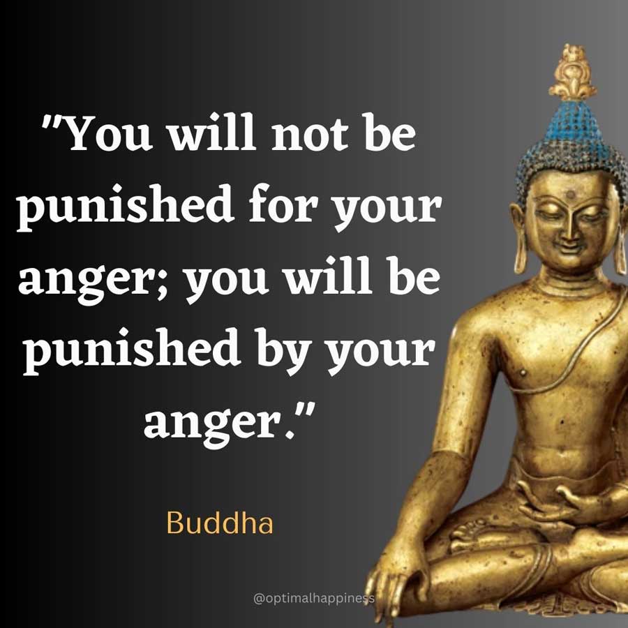 You will not be punished for your anger; you will be punished by your anger. - Buddha Happiness Quote