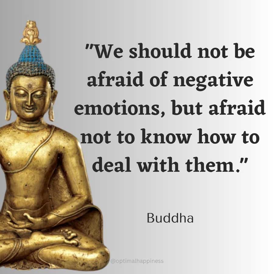 We should not be afraid of negative emotions, but afraid not to know how to deal with them. - Buddha Happiness Quote
