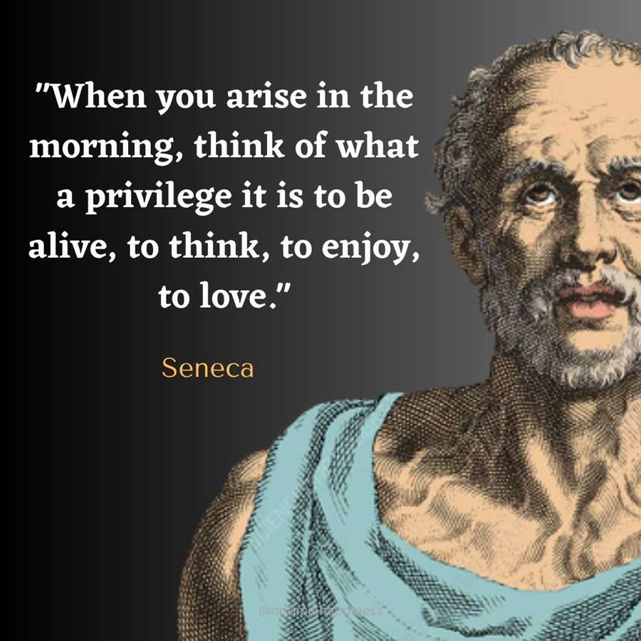 When you arise in the morning, think of what a privilege it is to be alive, to think, to enjoy, to love. - Seneca Happiness Quote